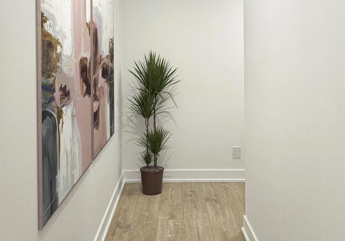 318-richmond-street-w-toronto-ontario-c12411581