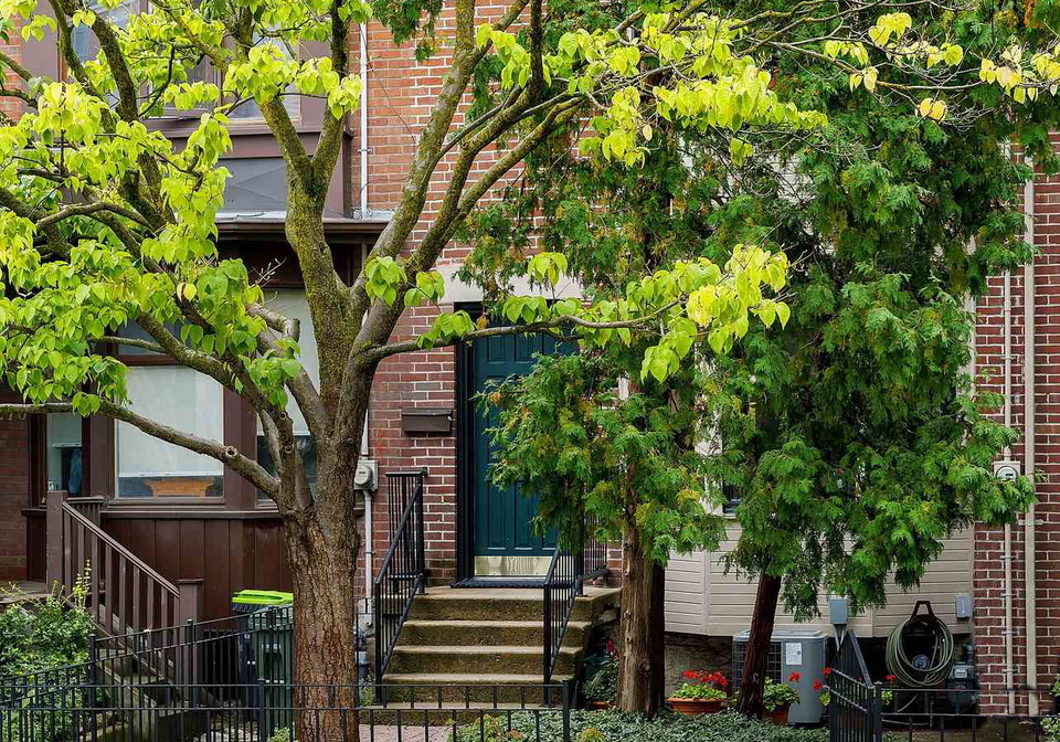 272-robert-street-toronto-ontario-c12428565