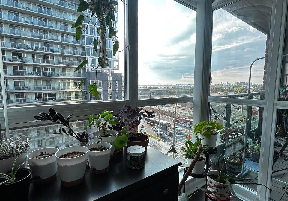 525-wilson-avenue-toronto-ontario-c12431579