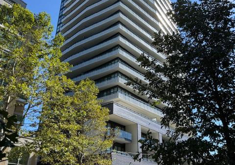 11-lillian-street-toronto-ontario-c12435723