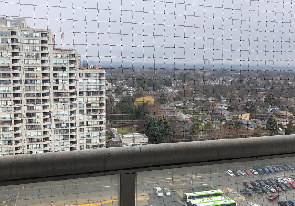 7-bishop-avenue-north-york-ontario-c12443529