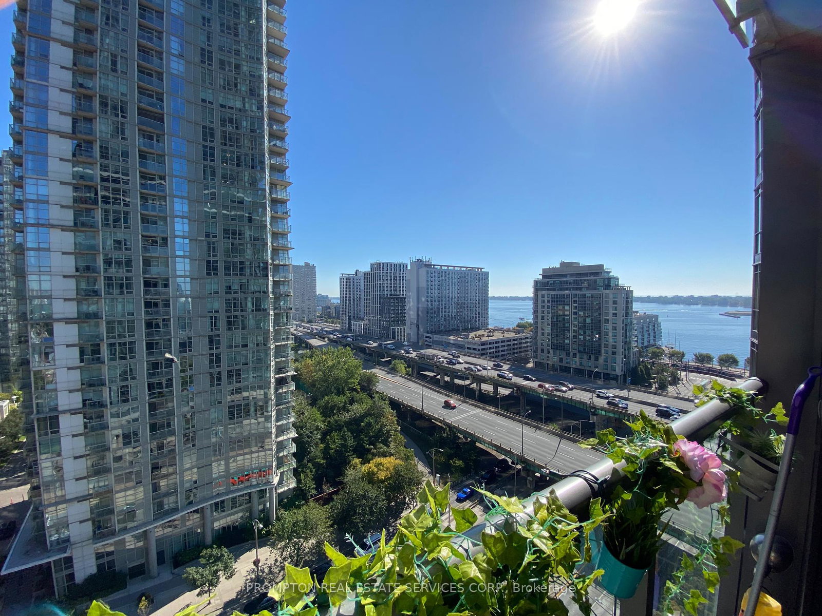 11-brunel-court-toronto-ontario-c12443946
