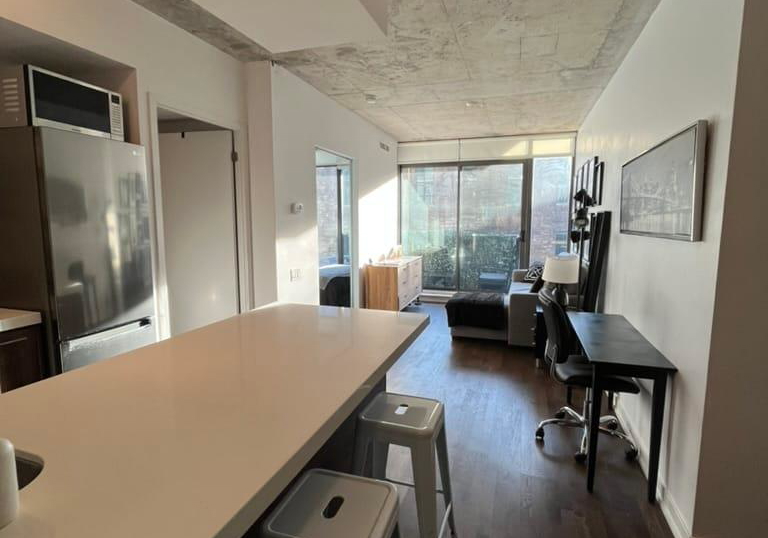 461-adelaide-street-w-toronto-ontario-c12444940