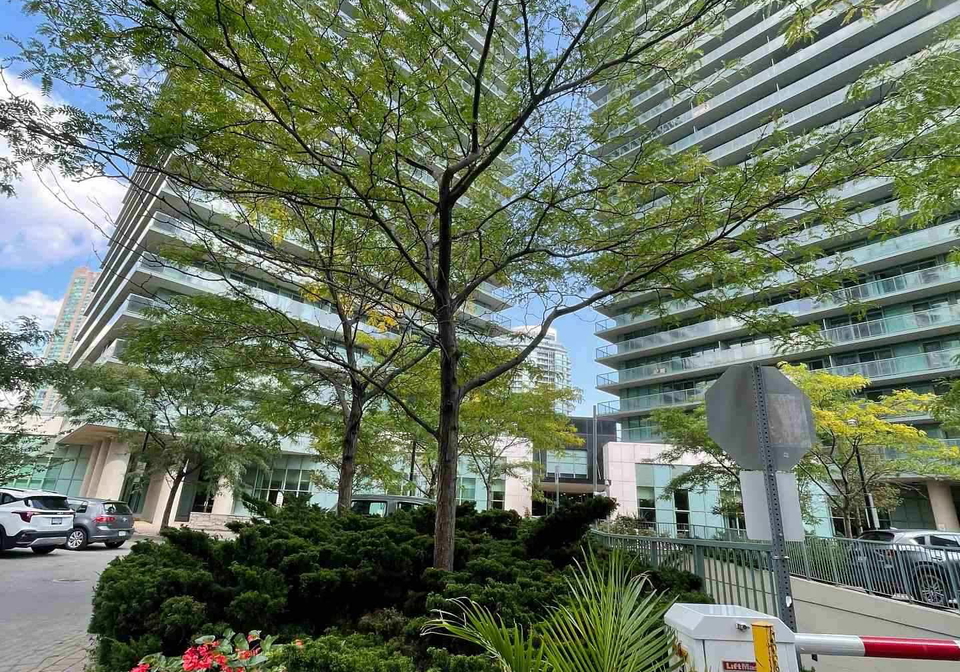 5508-yonge-street-toronto-ontario-c12446709