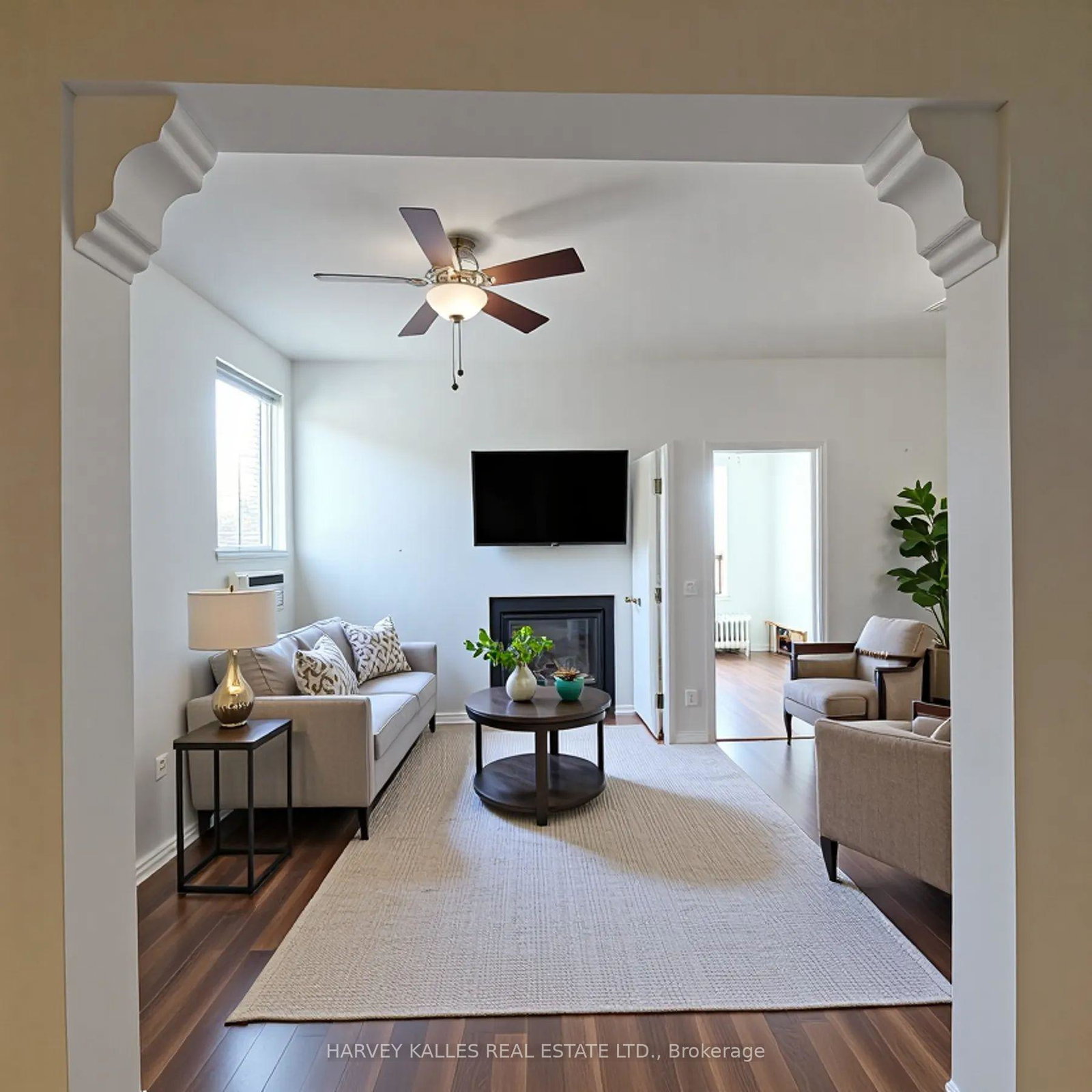206-augusta-avenue-toronto-ontario-c12456098