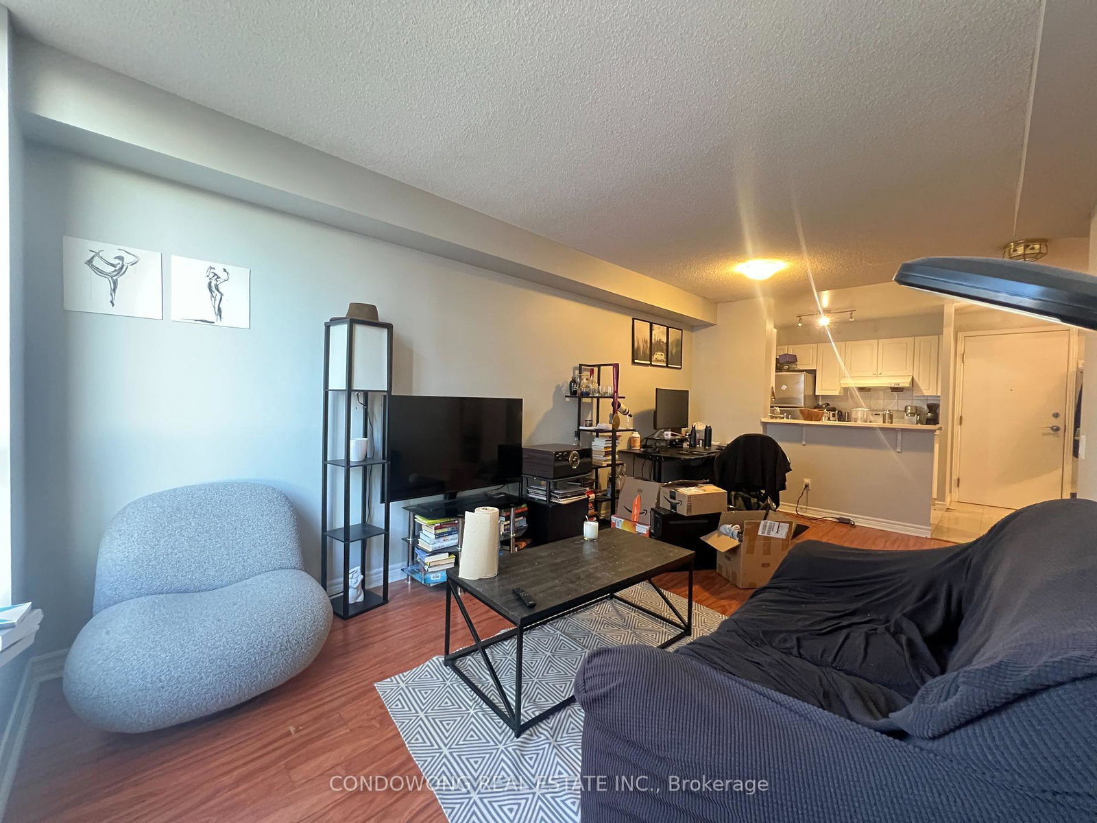 152-st-patrick-street-toronto-ontario-c12461576