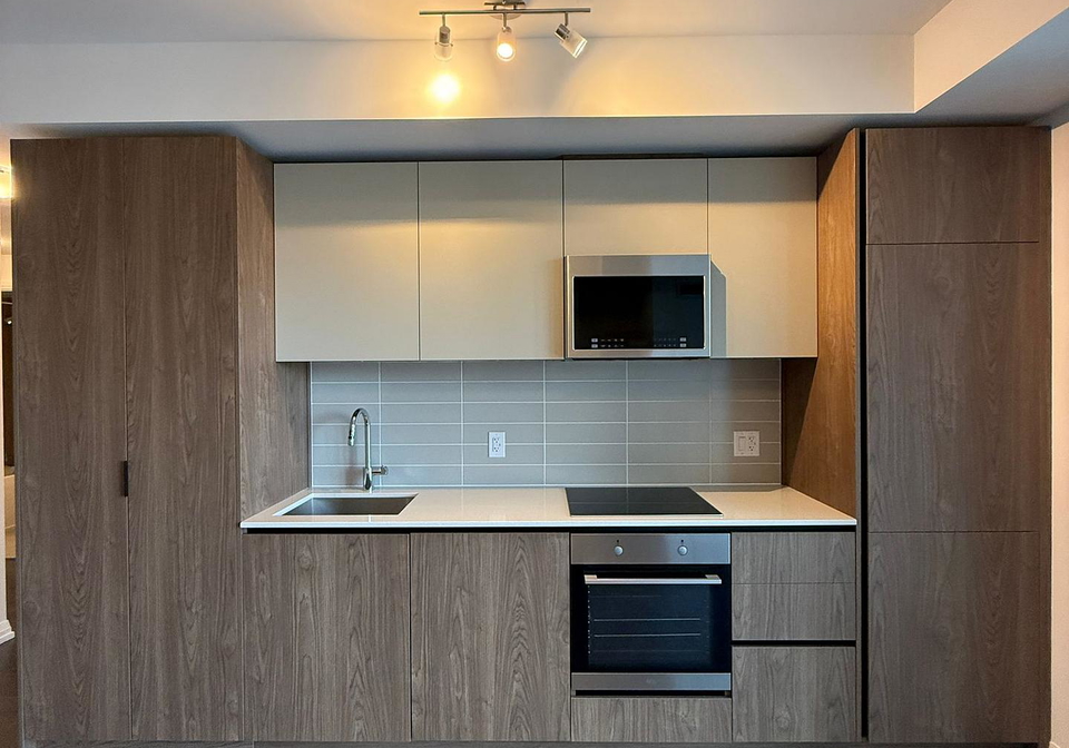 28-widmer-street-toronto-ontario-c12469486