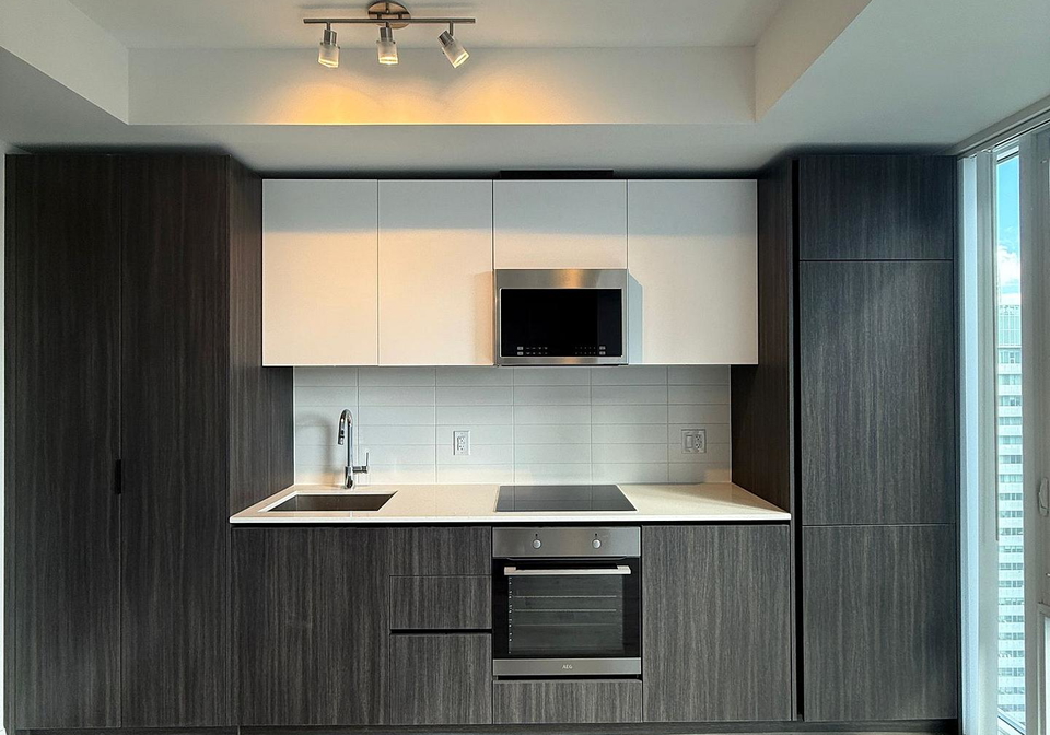 28-widmer-street-toronto-ontario-c12474758