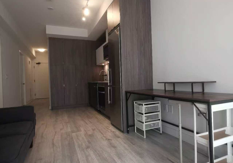 135-lower-sherbourne-street-e-toronto-ontario-c12475170