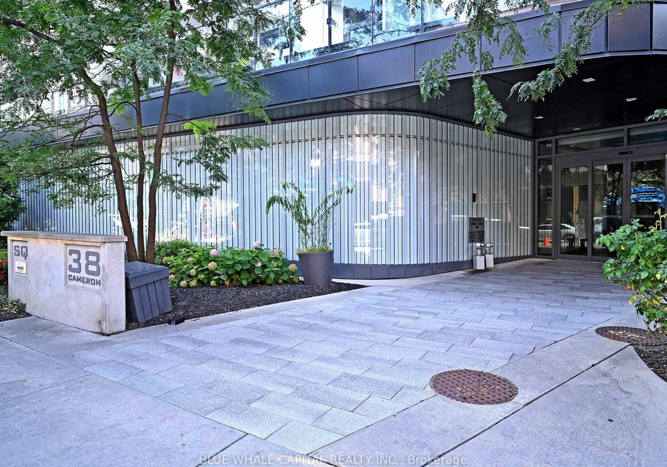 38-cameron-street-toronto-ontario-c12479043