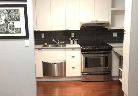 111-elizabeth-street-toronto-ontario-c12483012