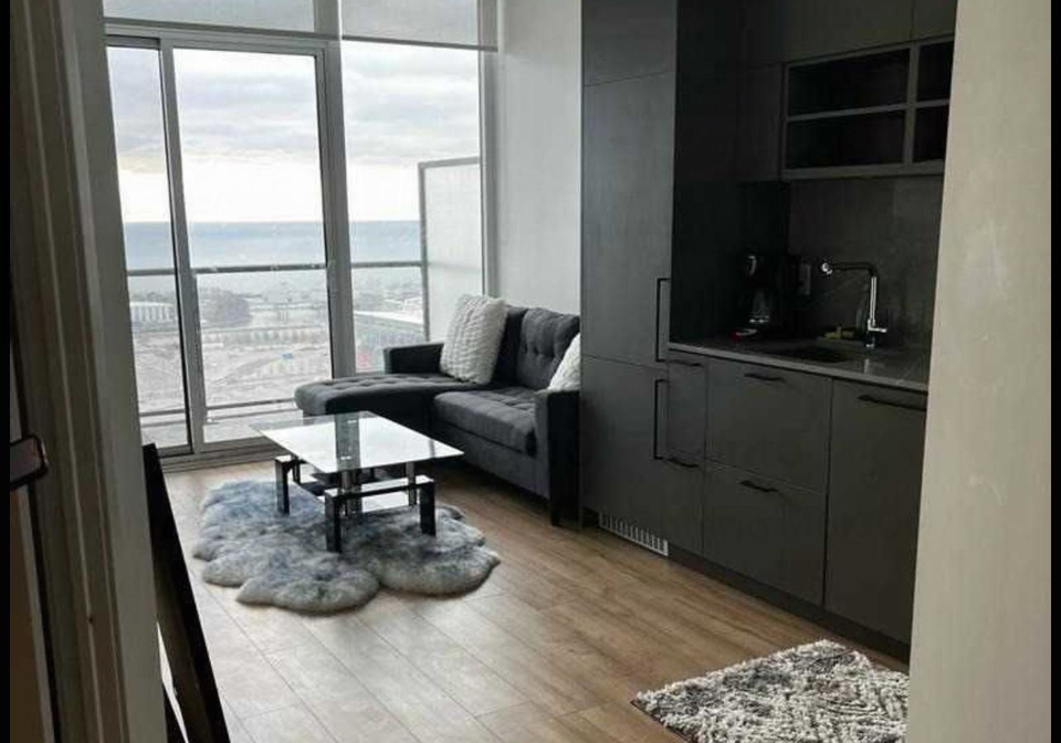 135-e-liberty-st-street-toronto-ontario-c12484286