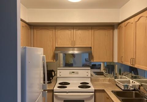 22-olive-avenue-north-york-ontario-c12490722