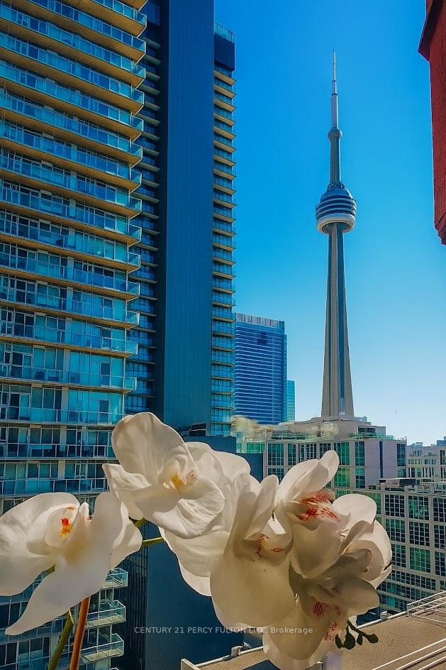 393-king-street-w-toronto-ontario-c12492596