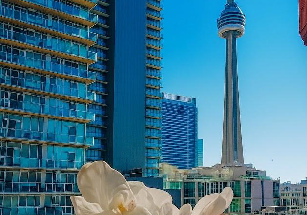393-king-street-w-toronto-ontario-c12492596