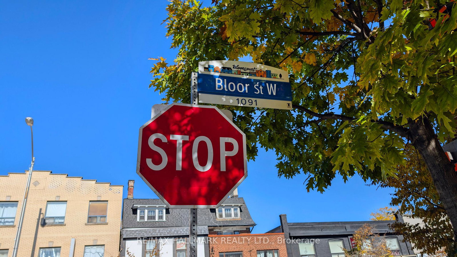 519-gladstone-avenue-toronto-ontario-c12499956