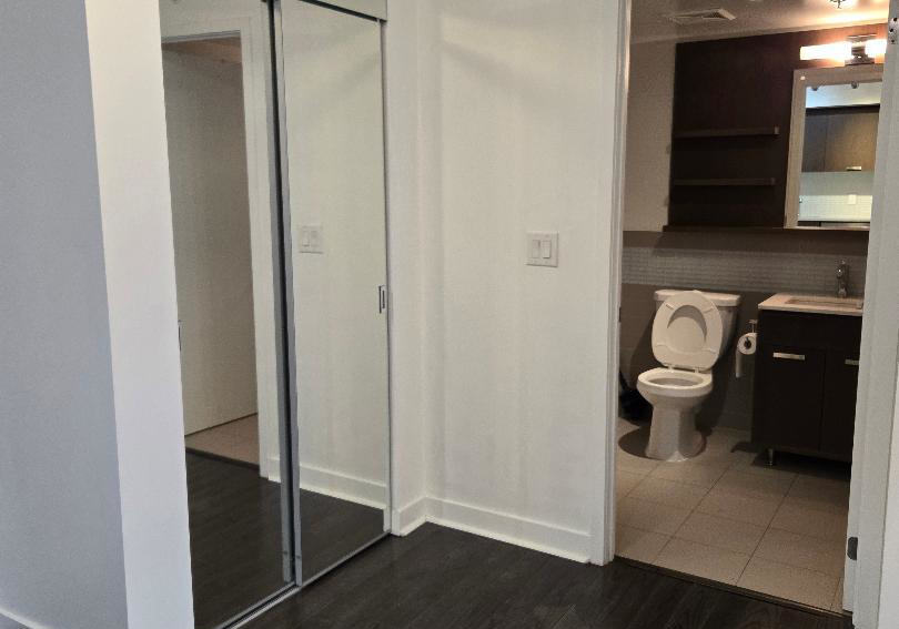295-adelaide-street-w-toronto-ontario-c12509958