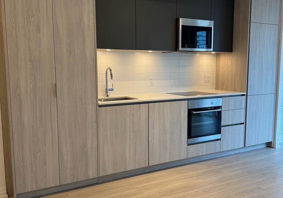 8-widmer-street-toronto-ontario-c12530570