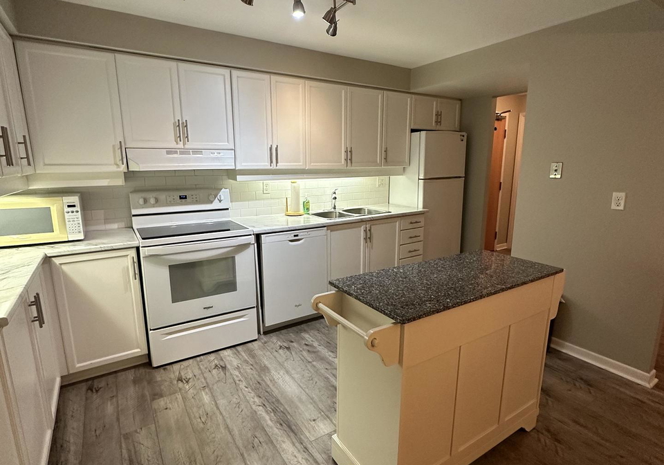 955-millwood-road-east-york-ontario-c12536414