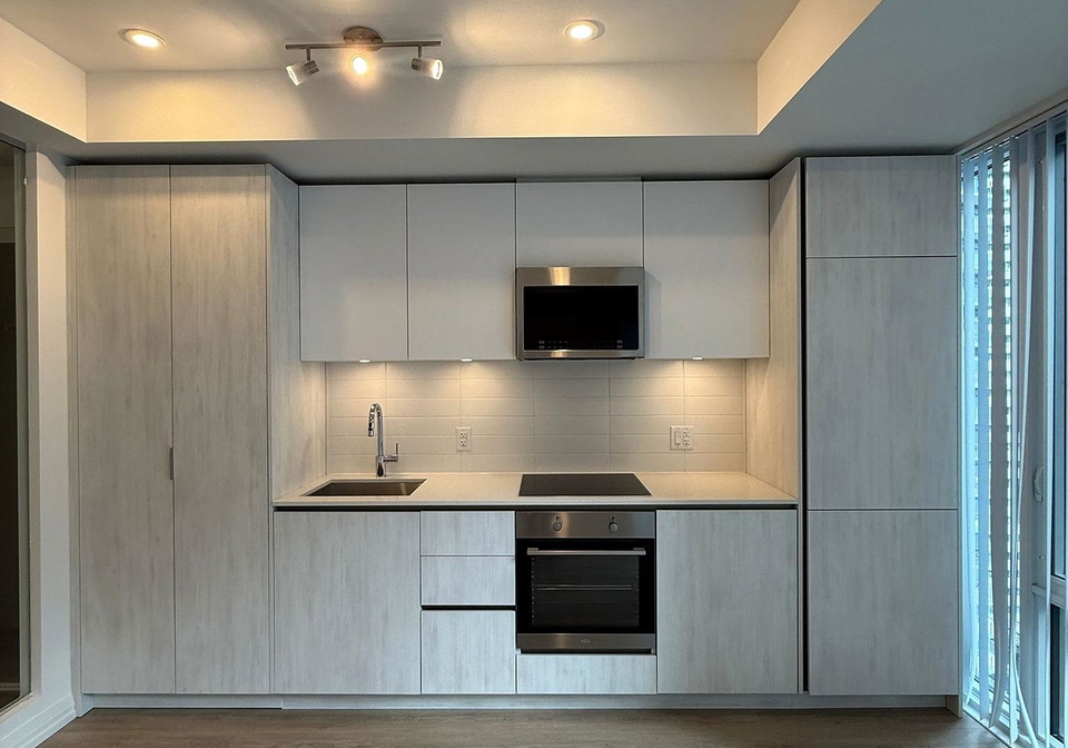 28-widmer-street-toronto-ontario-c12539296