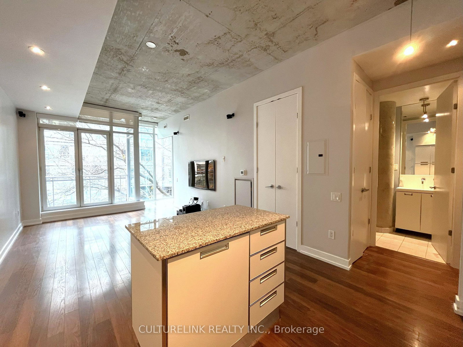 20-stewart-street-toronto-ontario-c12562426