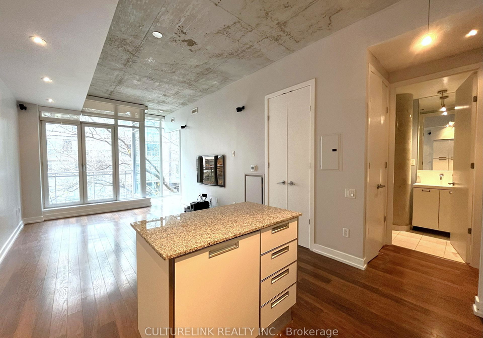 20-stewart-street-toronto-ontario-c12562426