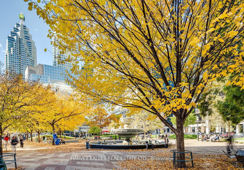 88-scott-street-toronto-ontario-c12567350