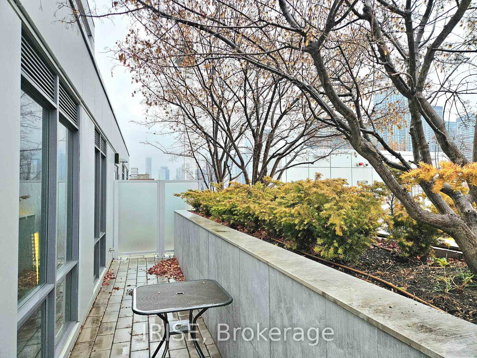 38-cameron-street-toronto-ontario-c12583062