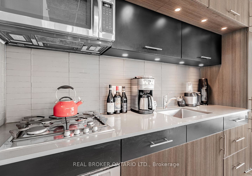 205-manning-avenue-toronto-ontario-c12584736