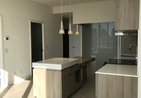 101-charles-street-e-toronto-ontario-c12586626