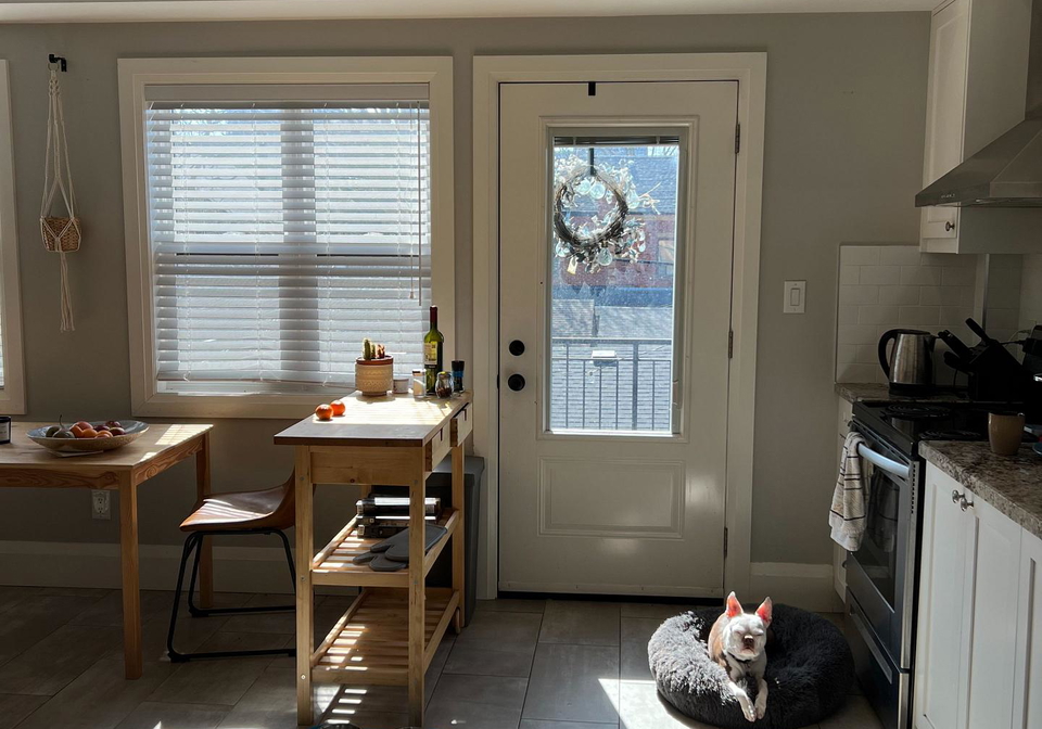 158-lisgar-street-toronto-ontario-c12592860