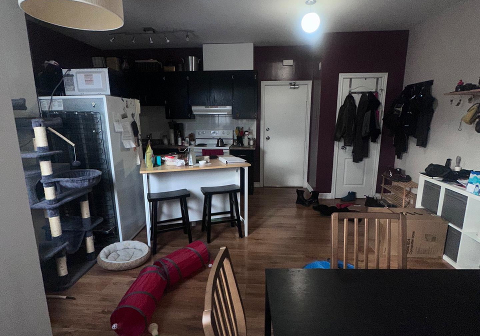 19augusta-avenue-toronto-ontario-c12599812