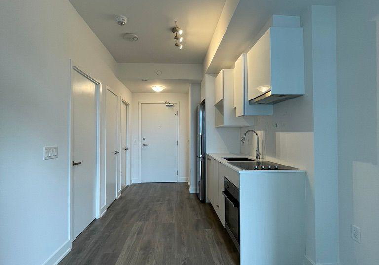 195-redpath-avenue-toronto-ontario-c12607106