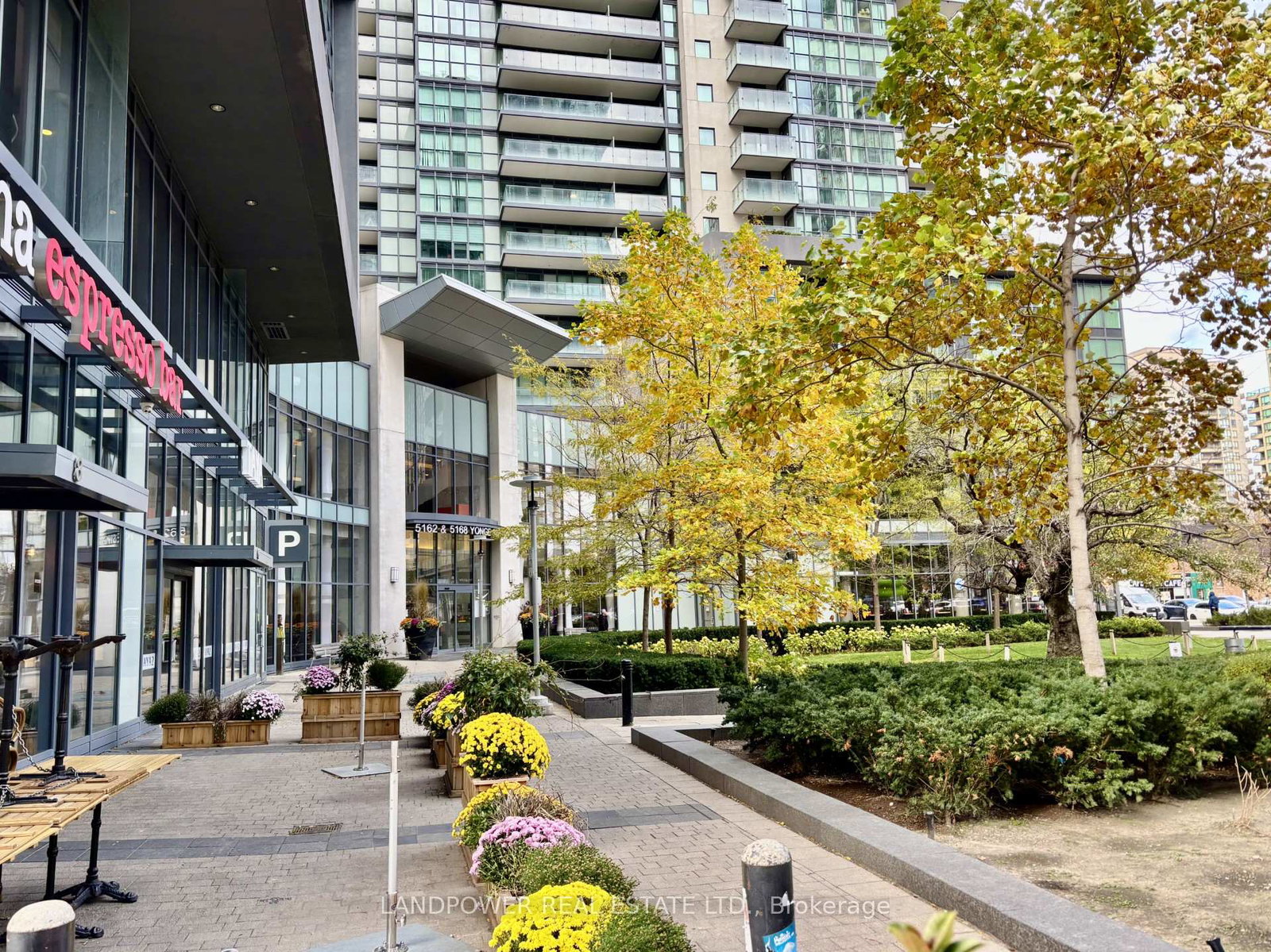 5162-yonge-street-toronto-ontario-c12612704