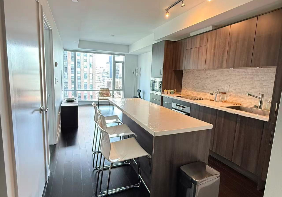 21-widmer-street-toronto-ontario-c12615072