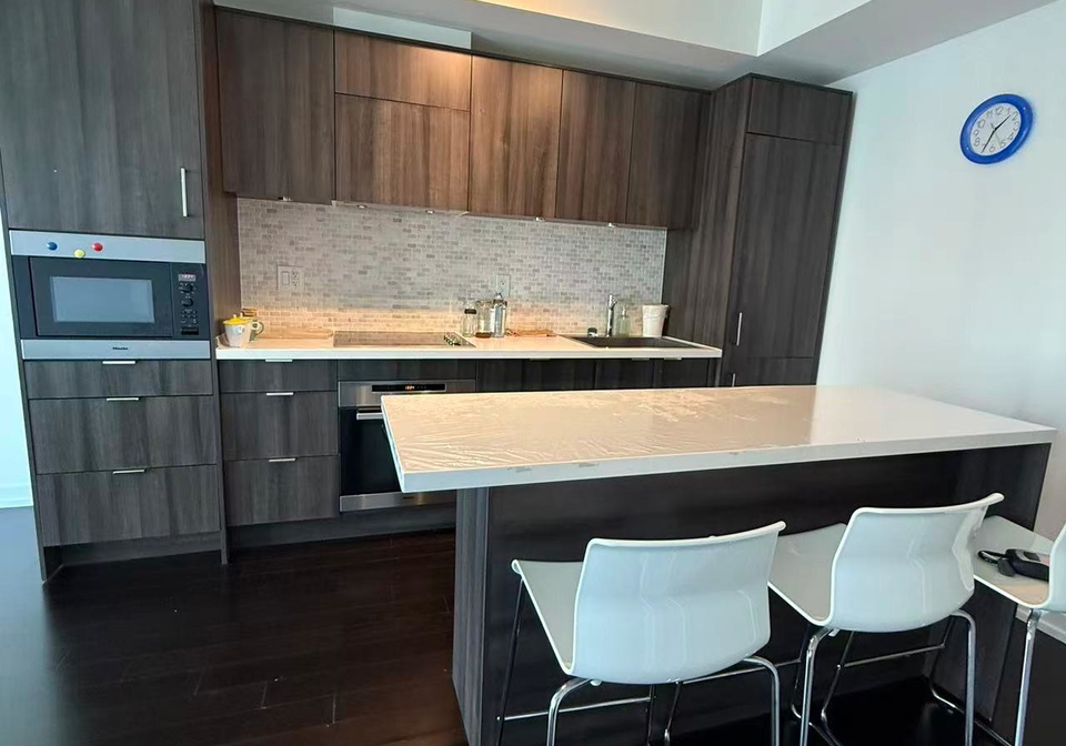 21-widmer-street-toronto-ontario-c12615072