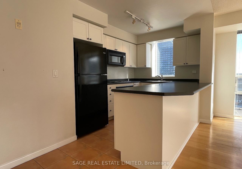 18-stafford-street-toronto-ontario-c12615672