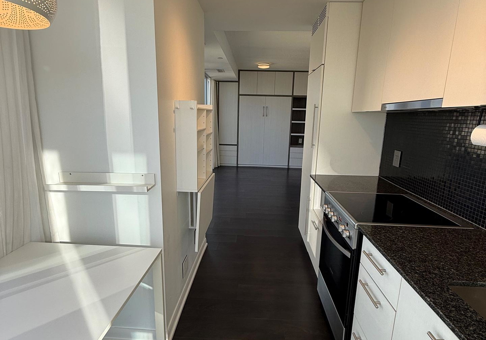 435-richmond-street-w-toronto-ontario-c12649726
