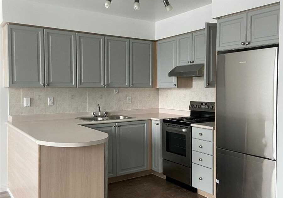 238-doris-avenue-north-york-ontario-c12650490