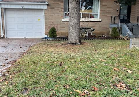 44-baycrest-avenue-toronto-ontario-c12680660