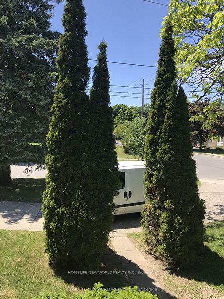 203-goddard-street-toronto-ontario-c12707660