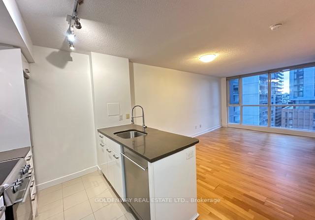 295-adelaide-street-w-toronto-ontario-c12713794