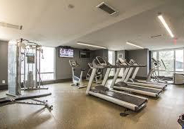 60-berwick-avenue-toronto-ontario-c12722834