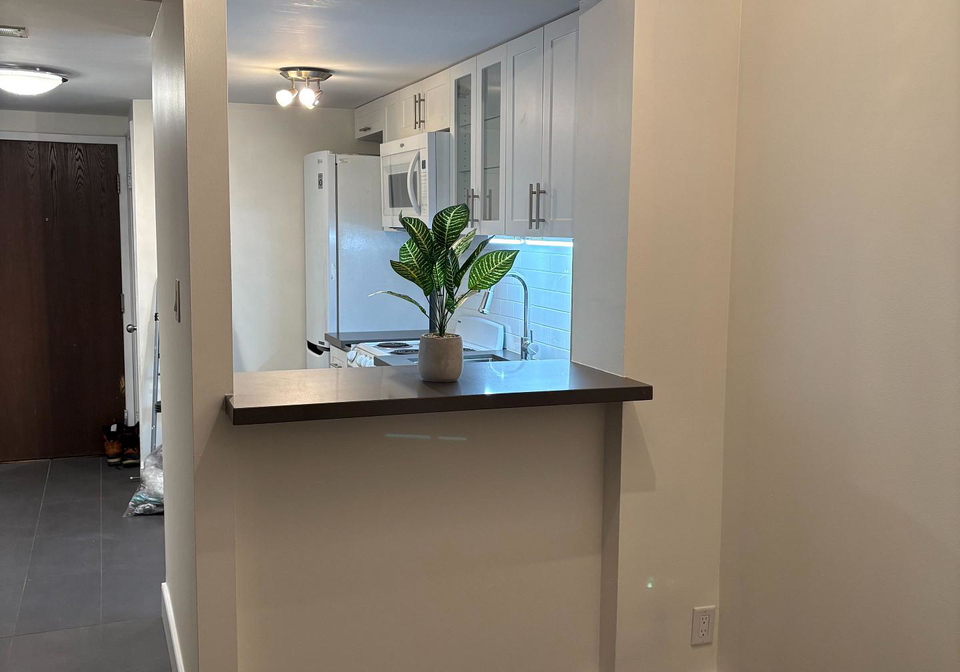 717-bay-street-toronto-ontario-c12745286