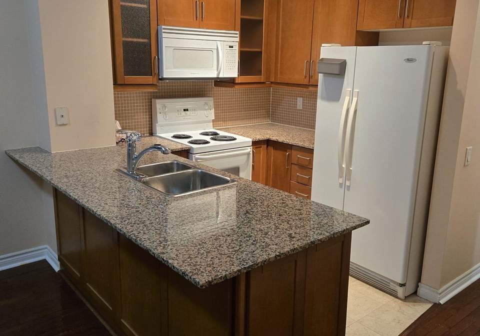 60-byng-avenue-north-york-ontario-c12747946