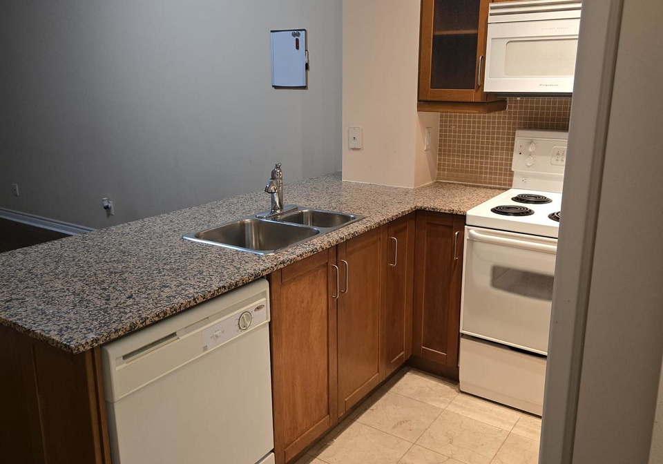 60-byng-avenue-north-york-ontario-c12747946