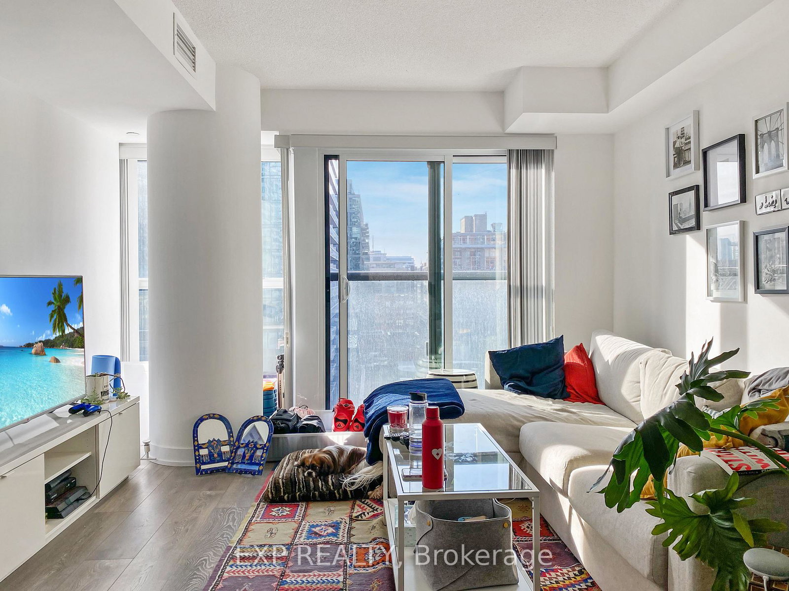 87-peter-street-toronto-ontario-c12749172