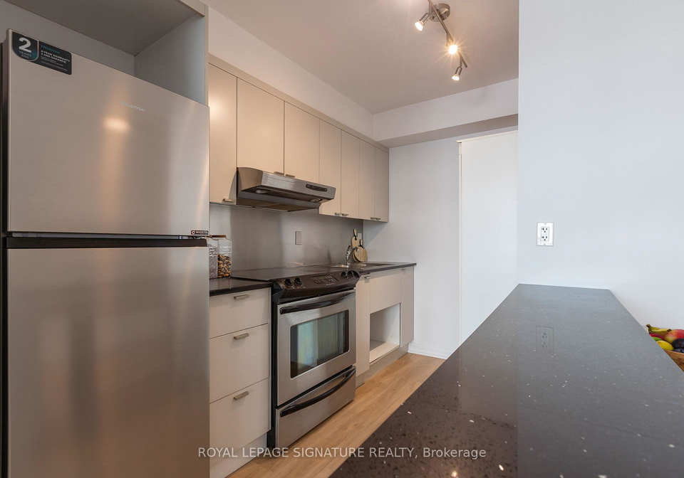 111-elizabeth-street-toronto-ontario-c12751812