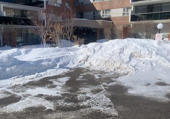 40-sunrise-avenue-north-york-ontario-c12755102
