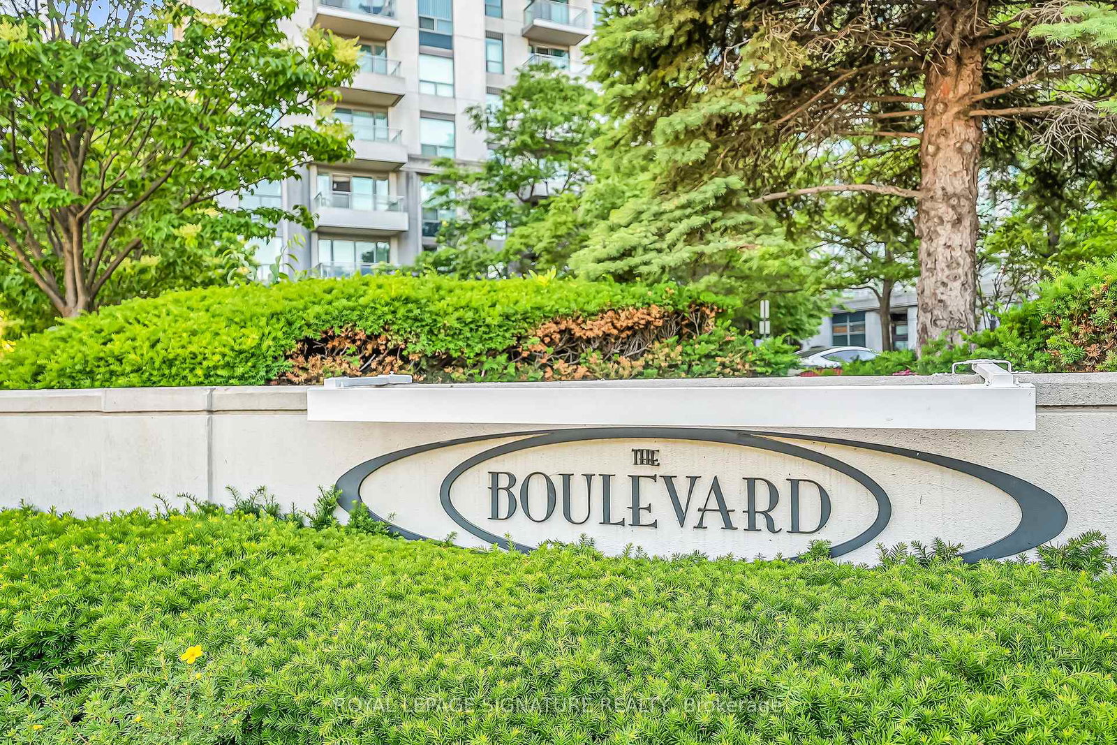 188-doris-avenue-north-york-ontario-c12760568